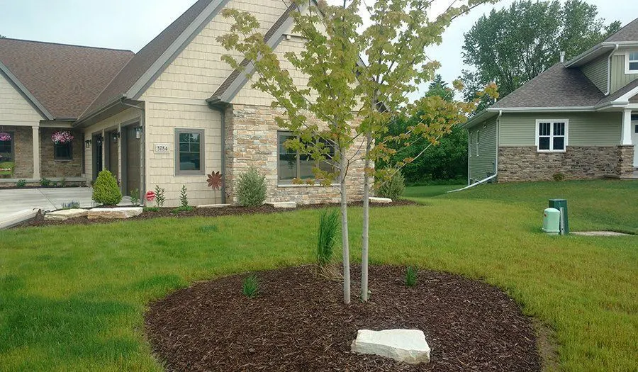 Tree Installation project by JM Landscaping LLC in Green Bay, WI — photo 8