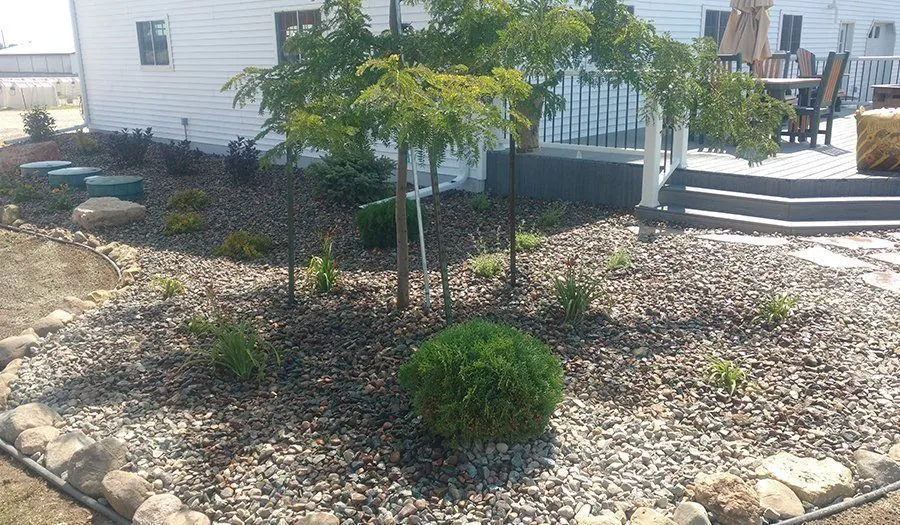 Tree Installation project by JM Landscaping LLC in Green Bay, WI — photo 7