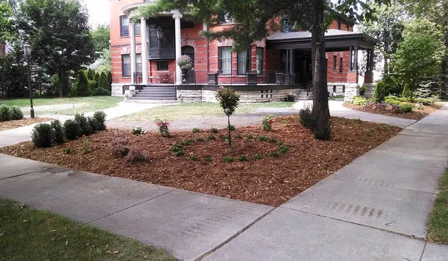 Tree Installation project by JM Landscaping LLC in Green Bay, WI — photo 4