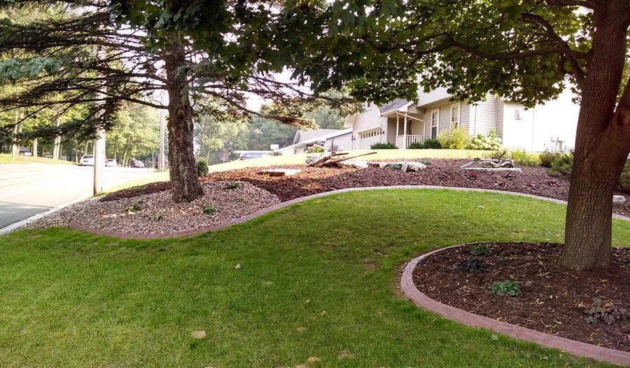 Tree Installation project by JM Landscaping LLC in Green Bay, WI — photo 2