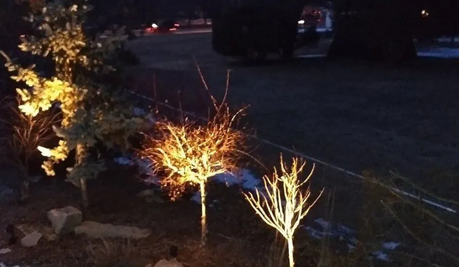 Landscape Lighting Installations project by JM Landscaping LLC in Green Bay, WI