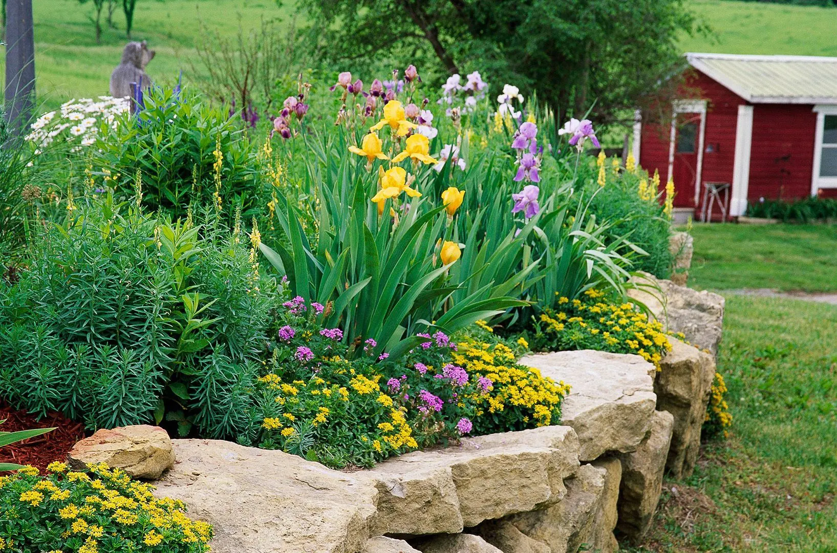 Perennial Installation project by JM Landscaping LLC in Green Bay, WI