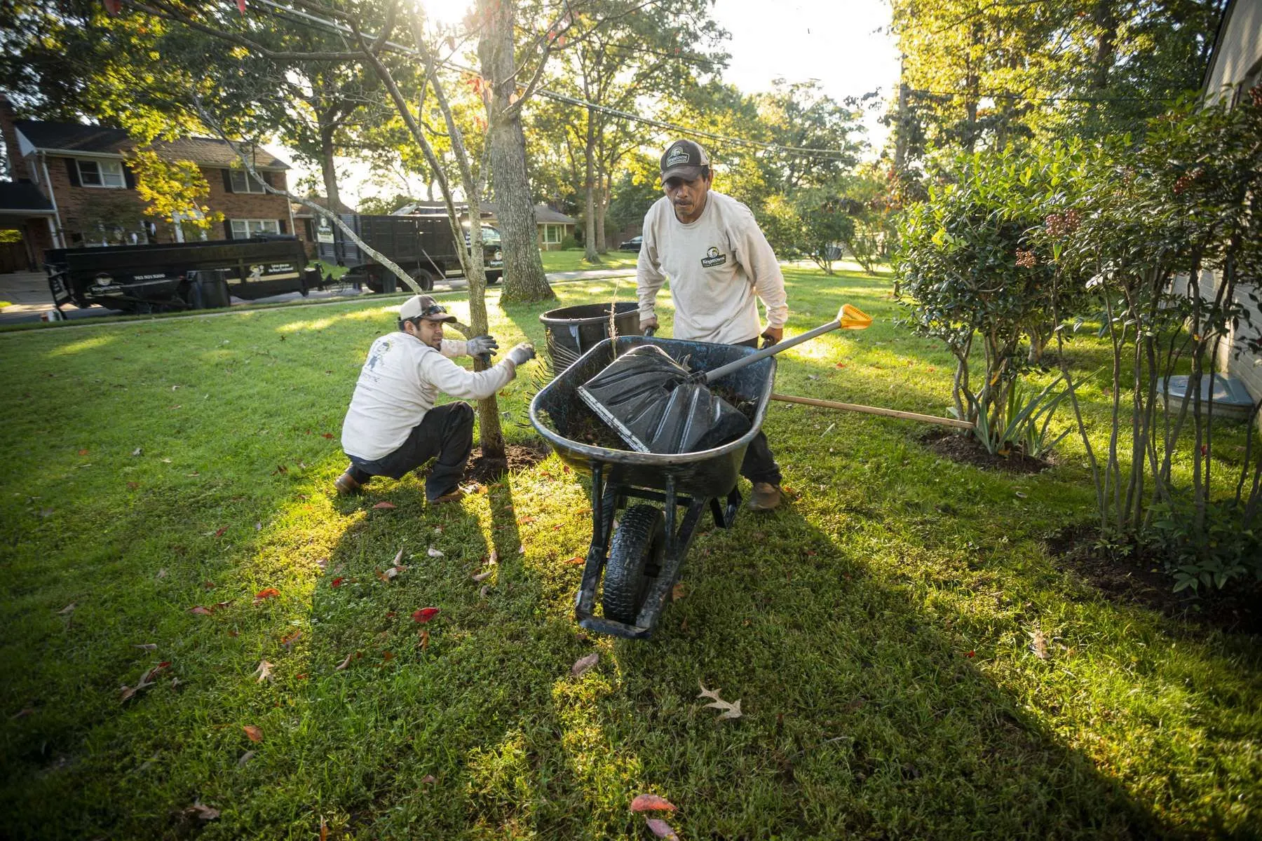 Lawn Installation & Renovation