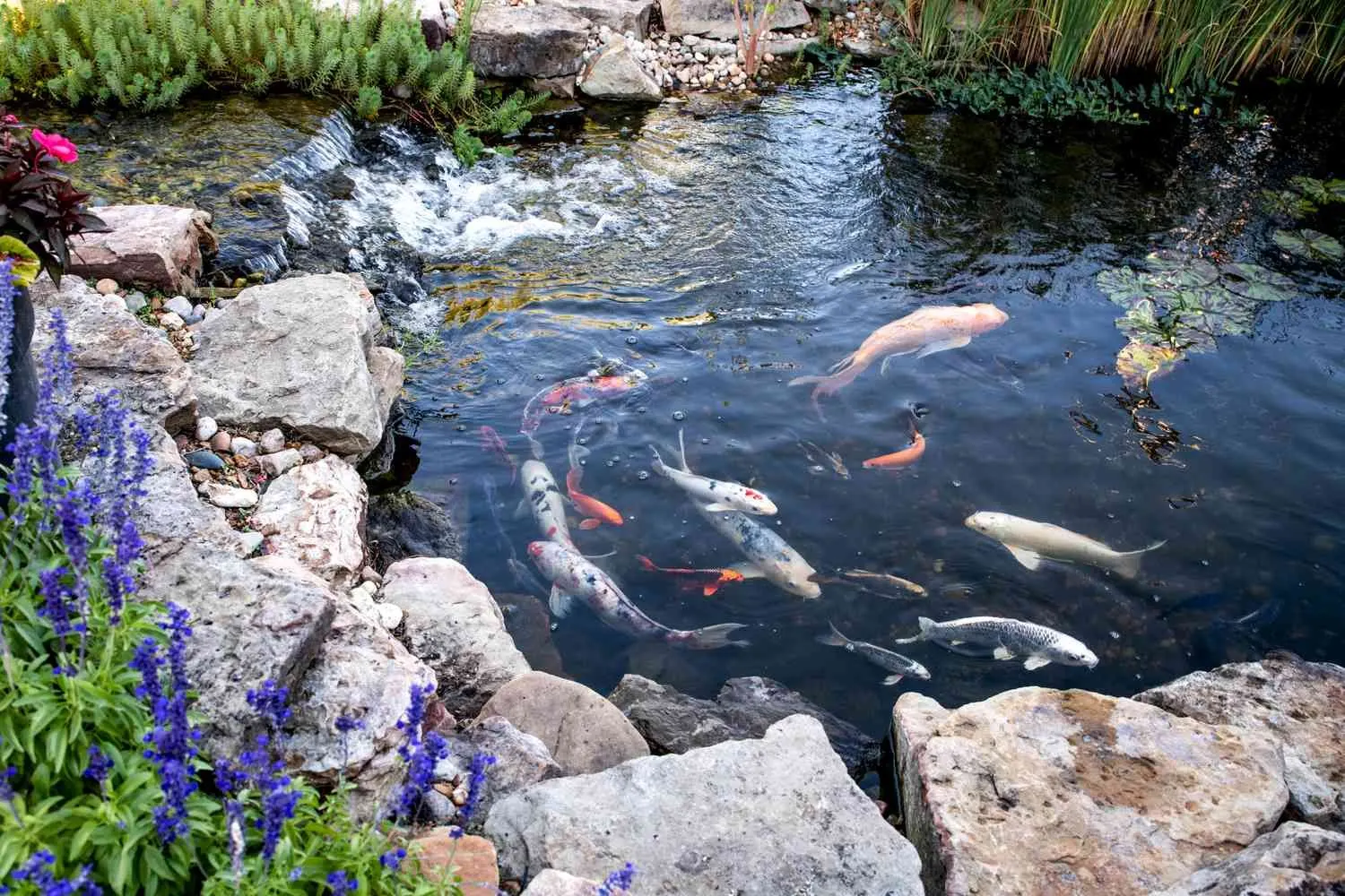 Pond Installation project by JM Landscaping LLC in Green Bay, WI