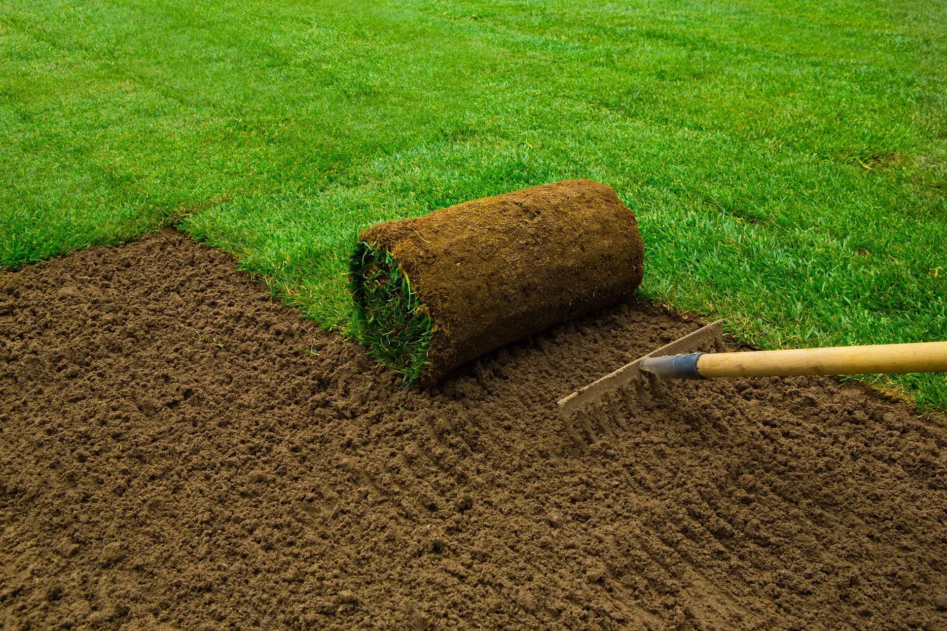 New lawn installation project by JM Landscaping LLC in Green Bay, WI