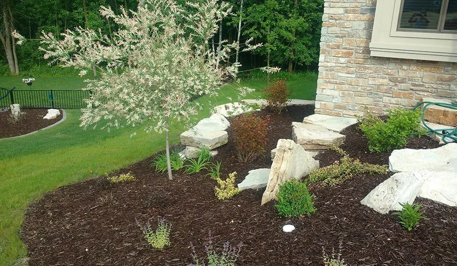 Tree Installation project by JM Landscaping LLC in Green Bay, WI — photo 1