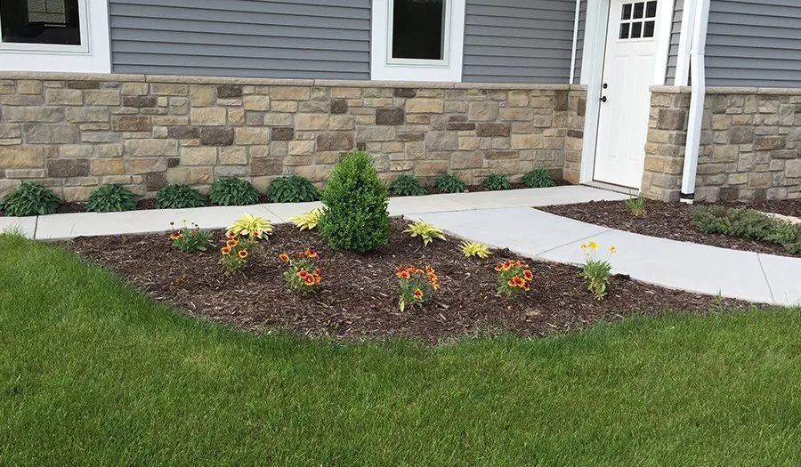 Daylilies and evergreen shrubs in a mulched bed along a stone veneer foundation