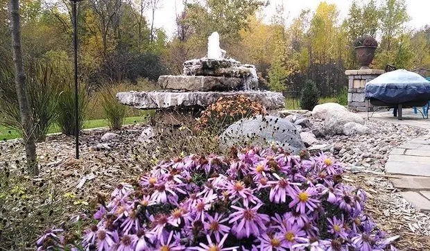 Tiered stone fountain surrounded by purple asters in a fall garden